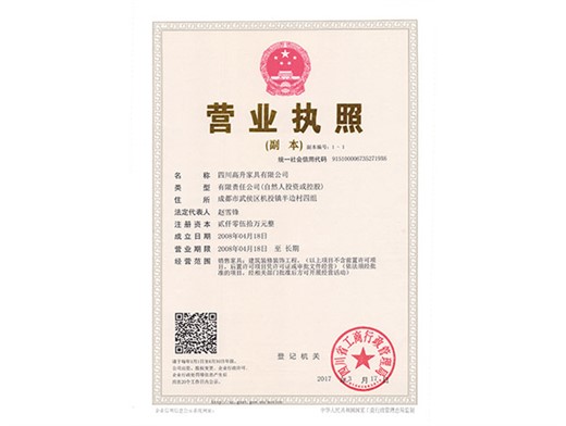企业营业执照